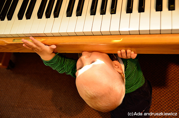 ベビーと一緒にクラシックコンサート1